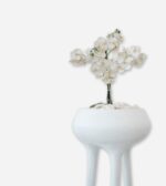VASE AVATAR