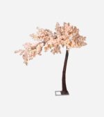 ARBRE JAPONAIS CHAMPAGNE